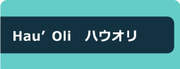hau'oli ハウオリ